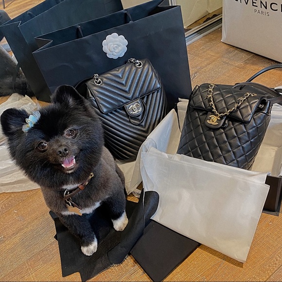 ✨TOP RATED SELLER ✨ - Picture 15 of 16